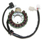 Estátor ELECTROSPORT para YAMAHA YFB 250 TIMBERWOLF 2WD, YFM 250 BEAR TRACKER 2WD de 1994 a 2000 Estátor ELECTROSPORT para YAMAHA YFB 250 TIMBERWOLF 2WD, YFM 250 BEAR TRACKER 2WD de 1994 a 2000