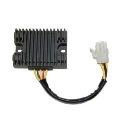ELECTROSPORT Regler - Can Am DS650X/Baja für CAN-AM DS 650, DS 650 BAJA, DS 650 X 2000-2007