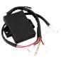 Cdi TECNIUM - Warrior 350 para YAMAHA YFM 350 WARRIOR 2WD de 1996 a 2004