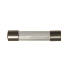 TECNIUM Glass Fuses 10A