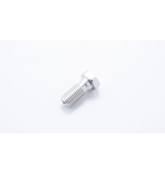 SPEEDBRAKES VIS simple M10X1.25