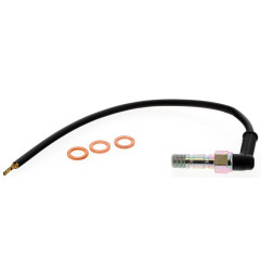 BERINGER Electrical Switch Pressure/Double Banjo