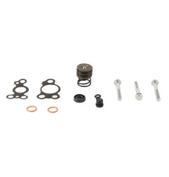 ALL BALLS Kupplungsnehmerzylinder Reparatursatz für KAWASAKI KX 250, KX 250 X, KX 450, KX 450 X, KXF 450 2019-2027
