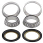 ALL BALLS Lenkschaftlager-Kit für KAWASAKI KD 80, KE 100, KLX 110, KX 60 und SUZUKI DRZ 110, RM 60 1980-2009