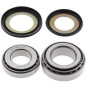 Kit roulements de colonne de direction ALL BALLS pour SUZUKI DR 125 S, DR 250 S, RM 125, RM 500 et YAMAHA XT 250, YTZ 250 Kit roulements de colonne de direction ALL BALLS pour SUZUKI DR 125 S, DR 250 S, RM 125, RM 500 et YAMAHA XT 250, YTZ 250