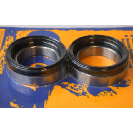 Kit de roulements et joints de roue arrière PIVOT WORKS pour HONDA TRX 300 EX SPORTRAX 2WD, TRX 400 EX SPORTRAX 2WD