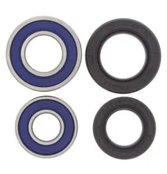 Kit rodamientos de rueda ALL BALLS para SUZUKI LT 230, LT 250 QUADRACER 2WD, LTZ 400, ARCTIC CAT DVX 400 y KAWASAKI KF - 25-1042