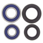 Kit roulements de roue ALL BALLS pour SUZUKI LT 230, LT 250 QUADRACER 2WD, LTZ 400, ARCTIC CAT DVX 400 et KAWASAKI KFX - 25-1042 Kit roulements de roue ALL BALLS pour SUZUKI LT 230, LT 250 QUADRACER 2WD, LTZ 400, ARCTIC CAT DVX 400 et KAWASAKI KFX - 25-1042