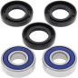ALL BALLS Wheel Bearing Kit for SUZUKI DL 650 V-STROM, DL 650 V-STROM ABS, DL 650 V-STROM XT ABS and HONDA ATC 110 1980-2024