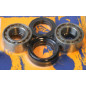 Kit de rodamientos y retenes de rueda delantera PIVOT WORKS para HONDA TRX 500 FA FOURTRAX FOREMAN RUBICON 4WD de 1995 a 2016 Kit de rodamientos y retenes de rueda delantera PIVOT WORKS para HONDA TRX 500 FA FOURTRAX FOREMAN RUBICON 4WD de 1995 a 2016