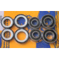 Kit de rodamientos y retenes de rueda delantera PIVOT WORKS para SUZUKI LT 230, LT 250 QUADRACER 2WD, LTZ 400 y KAWASAKI KFX 400