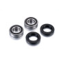 FACTORY LINKS Wheel Bearing Kit for YAMAHA TDM 900 2003-2008 FACTORY LINKS Wheel Bearing Kit for YAMAHA TDM 900 2003-2008