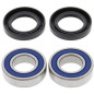 Kit rodamientos de rueda ALL BALLS para YAMAHA TDM 900 de 2002 a 2008