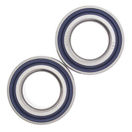ALL BALLS Radlager-Kit für POLARIS RANGER 500, SPORTSMAN 500, SPORTSMAN 500 HO, SPORTSMAN 570, SPORTSMAN 800 1996-2021