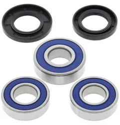 ALL BALLS Wheel Bearing Kit for SUZUKI DR 250 S, DR 350, DR 350 SE, DRZ 250 1986-2007
