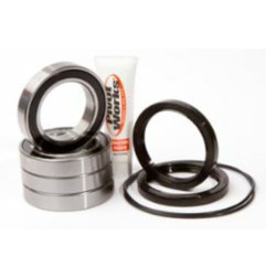 Kit de roulements et joints de roue arrière PIVOT WORKS pour SUZUKI LT-R 450 QUADRACER 2WD de 2006 à 2011