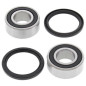 ALL BALLS Wheel Bearing Kit for TM RACING EN 125, EN 250, EN 300, MX 250, MX 300 1996-2011 ALL BALLS Wheel Bearing Kit for TM RACING EN 125, EN 250, EN 300, MX 250, MX 300 1996-2011