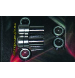 Reparaturkit schwingen für -95 PIVOT WORKS für KAWASAKI KLX 650, KX 125, KX 250 1993-2001