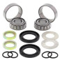 ALL BALLS Swing Arm Bearing Kit for KAWASAKI KFX 700, KVF 360 PRAIRIE 4WD and SUZUKI LT-V 700 F 4X4 TWIN PEAKS 1999-2014