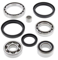 ALL BALLS Differenzial Lager & Dichtungssatz für ARCTIC CAT 500 4WD MANUAL TRANS. FIS und KYMCO MAXXER 450 2002-2021