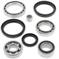 ALL BALLS Differenzial Lager & Dichtungssatz für ARCTIC CAT 500 4WD MANUAL TRANS. FIS und KYMCO MAXXER 450 2002-2021 ALL BALLS Differenzial Lager & Dichtungssatz für ARCTIC CAT 500 4WD MANUAL TRANS. FIS und KYMCO MAXXER 450 2002-2021