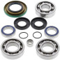 Kit roulements et joints de différentiel ALL BALLS pour CAN-AM OUTLANDER 650, OUTLANDER 650 EFI XT, OUTLANDER MAX 650 - 25-2069 Kit roulements et joints de différentiel ALL BALLS pour CAN-AM OUTLANDER 650, OUTLANDER 650 EFI XT, OUTLANDER MAX 650 - 25-2069
