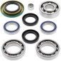 Kit ALL BALLS de rodamientos y retenes del diferencial trasero Can Am para CAN-AM OUTLANDER 650 EFI XT, OUTLANDER MAX - 25-2068 Kit ALL BALLS de rodamientos y retenes del diferencial trasero Can Am para CAN-AM OUTLANDER 650 EFI XT, OUTLANDER MAX - 25-2068