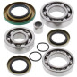Kit de rodamientos y retenes de diferencial ALL BALLS para CAN-AM OUTLANDER 650, OUTLANDER 650 EFI XT, OUTLANDER MAX 6 - 25-2086