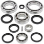 ALL BALLS Differenzial Lager & Dichtungssatz für KAWASAKI KFX 700, KVF 360 PRAIRIE 4WD und SUZUKI LT-V 700 F 4X4 TWIN - 25-2062 ALL BALLS Differenzial Lager & Dichtungssatz für KAWASAKI KFX 700, KVF 360 PRAIRIE 4WD und SUZUKI LT-V 700 F 4X4 TWIN - 25-2062