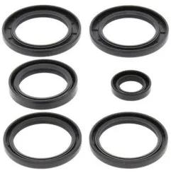ALL BALLS Differenzial Lager & Dichtungssatz für KAWASAKI KFX 700, KVF 360 PRAIRIE 4WD und SUZUKI LT-V 700 F 4X4 TWI - 25-2062-5