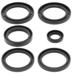 Kit ALL BALLS de retenes del diferencial para KAWASAKI KFX 700, KVF 360 PRAIRIE 4WD y SUZUKI LT-V 700 F 4X4 TWIN PEA - 25-2062-5