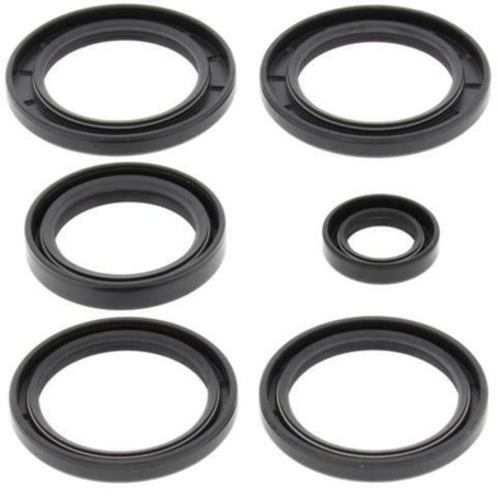 Kit roulements et joints de différentiel ALL BALLS pour KAWASAKI KVF 360 PRAIRIE 4WD et SUZUKI LT-V 700 F 4X4 TWIN P - 25-2062-5