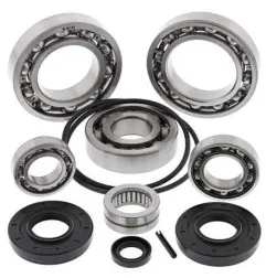 ALL BALLS Differenzial Lager & Dichtungssatz für KAWASAKI TERYX 750, TERYX 750 4X4 LE, TERYX 750 4X4 SPORT 2008-2013