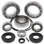 ALL BALLS Differenzial Lager & Dichtungssatz für KAWASAKI TERYX 750, TERYX 750 4X4 LE, TERYX 750 4X4 SPORT 2008-2013