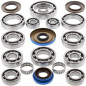 ALL BALLS Differential Bearing & Seal Kit for POLARIS RANGER 500, RANGER 570 FULL SIZE, RANGER CREW 900, RZR 900 XP, RZR 900 XP4
