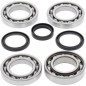 ALL BALLS Differential Bearing & Seal Kit for POLARIS SCRAMBLER 850, SPORTSMAN 550 XP, SPORTSMAN 550 XPS 4X4, SPORTSMAN 850