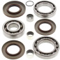 ALL BALLS Differential Bearing & Seal Kit for POLARIS SCRAMBLER 850, SPORTSMAN 850, SPORTSMAN 850 HIGH LIFTER EDITION 2009-2025 ALL BALLS Differential Bearing & Seal Kit for POLARIS SCRAMBLER 850, SPORTSMAN 850, SPORTSMAN 850 HIGH LIFTER EDITION 2009-2025