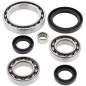 ALL BALLS Differenzial Lager & Dichtungssatz für YAMAHA YFM 700 GRIZZLY EPS 4WD, YFM 700 KODIAK 4WD, YXM 700 VIKING EPS 4WD