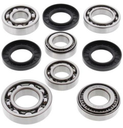 ALL BALLS Differenzial Lager & Dichtungssatz für YAMAHA YFM 700 GRIZZLY EPS 4WD, YFM 700 GRIZZLY EPS CAMO 4WD 2007-2025
