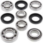 ALL BALLS Differential Bearing & Seal Kit for YAMAHA YFM 550 GRIZZLY 4WD, YFM 700 GRIZZLY EPS 4WD, YFM 700 GRIZZLY EPS CAMO 4WD