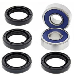ALL BALLS A-Arm Rebuild Kit for ARCTIC CAT DVX 250, DVX 300 2006-2015