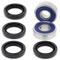 Kit de rodamientos triangulo ATV ALL BALLS para ARCTIC CAT DVX 250, DVX 300 de 2006 a 2015