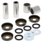 ALL BALLS Querlenker-Reparatursatz für SUZUKI LTZ 400, ARCTIC CAT DVX 400 und KAWASAKI KFX 400 2003-2018 - 50-1028