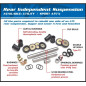 ALL BALLS Rear Independent Suspension Bearing Kit for CAN-AM OUTLANDER 650, OUTLANDER 650 EFI XT, RENEGADE 500 2006-2015 ALL BALLS Rear Independent Suspension Bearing Kit for CAN-AM OUTLANDER 650, OUTLANDER 650 EFI XT, RENEGADE 500 2006-2015