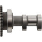 Stage 1 Nockenwellen-Set Einlass + Auslass HOT CAMS für SUZUKI RMZ 250 2016-2018