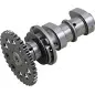 Pack arbres à cames Stage 2 HOT CAMS pour KAWASAKI KFX 400, KLX 400 et SUZUKI DRZ 400, LTZ 400 de 2000 à 2014