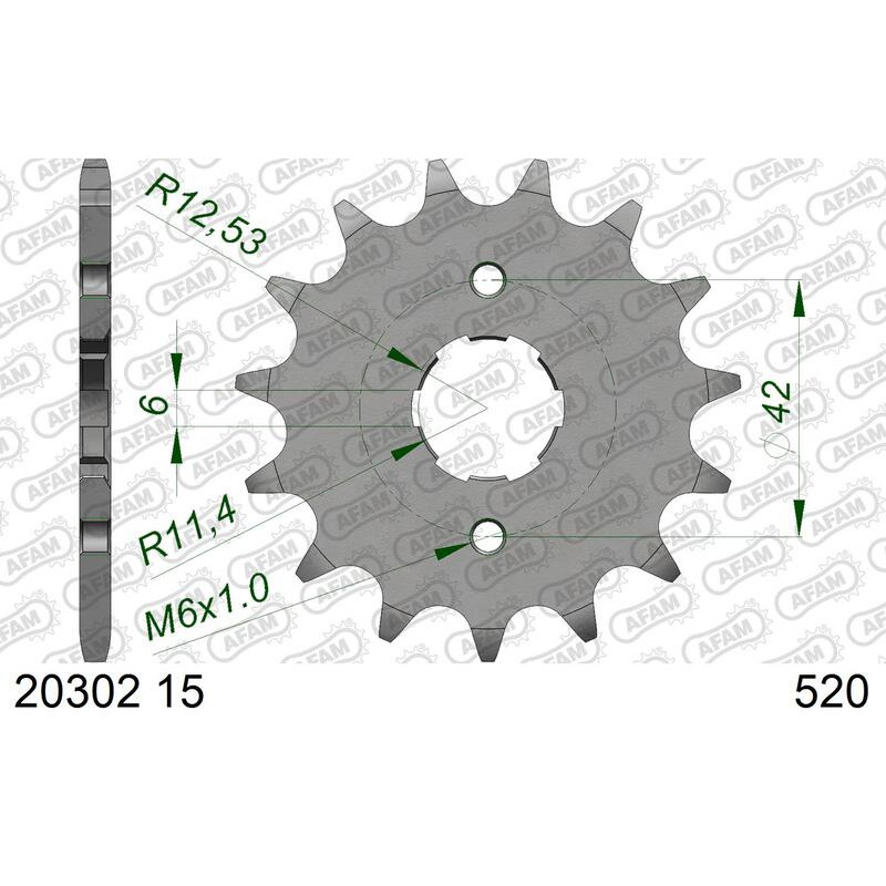 Piñón de acero AFAM 15 dientes, paso 520 para TGB BLADE 250, TARGET 325 de 2008 a 2017
