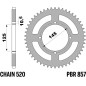 PBR steel rear sprocket 520 pitch for YAMAHA TT 600, XT 400, XT 600, XT 600 Z TENERE, XTZ 660 TENERE 1980-2004