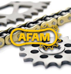 AFAM chain and sprocket kit for KAWASAKI KFX 400 2003-2006