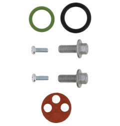 Kit reparación grifo de gasolina ALL BALLS para BETA RR 125, RR 200, RR 250, RR 300, XTRAINER 300 de 2007 a 2027